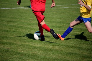 九游体育官网-中超球员比赛热度曲线与表现匹配模型，中超热身赛