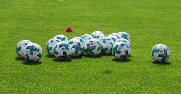 九游官网入口-德甲职业健康中心对加速球员复出效果评估,德甲青训政策