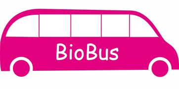 九游娱乐在线-意甲联赛的绿色可持续发展，意甲联赛啥意思