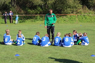 九游体育官网-欧洲杯总冠军之争：战术智慧与个人能力的较量，欧洲杯冠军百度百科